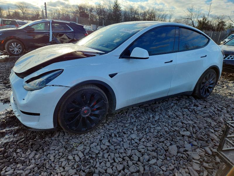 2022 TESLA MODEL Y — VIN 7SAYGDEF5NF461967