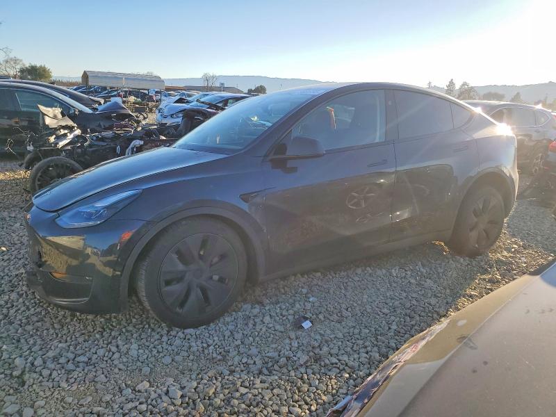 2025 TESLA MODEL Y — VIN 7SAYGDED0SF266109