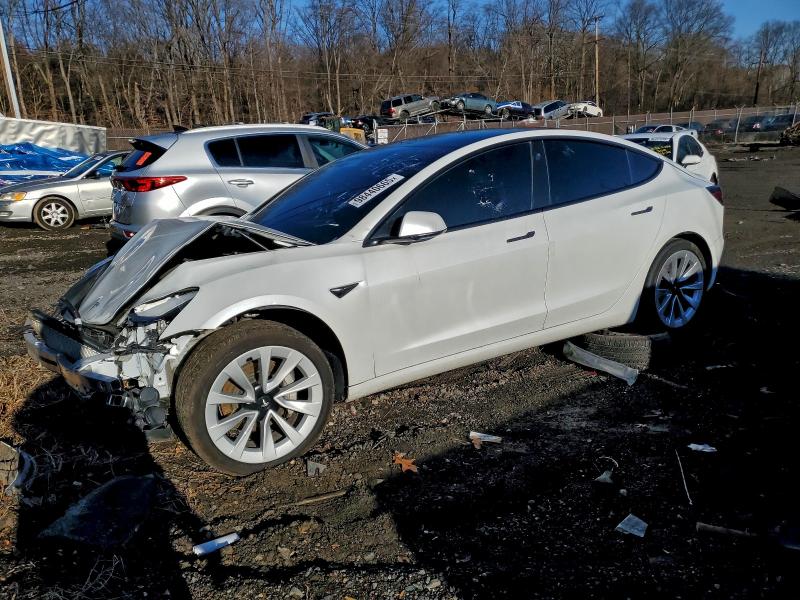 2022 TESLA MODEL 3 — VIN 5YJ3E1EA8NF186644