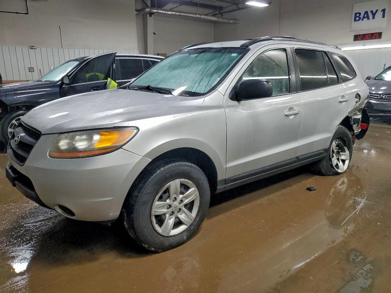 2009 HYUNDAI SANTA FE G — VIN 5NMSG73D69H240002