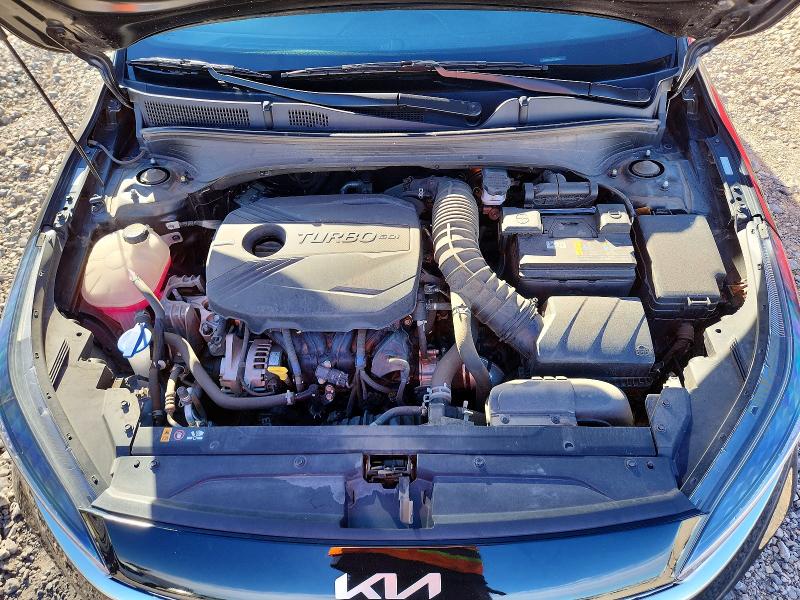 3KPF44AC3PE566542