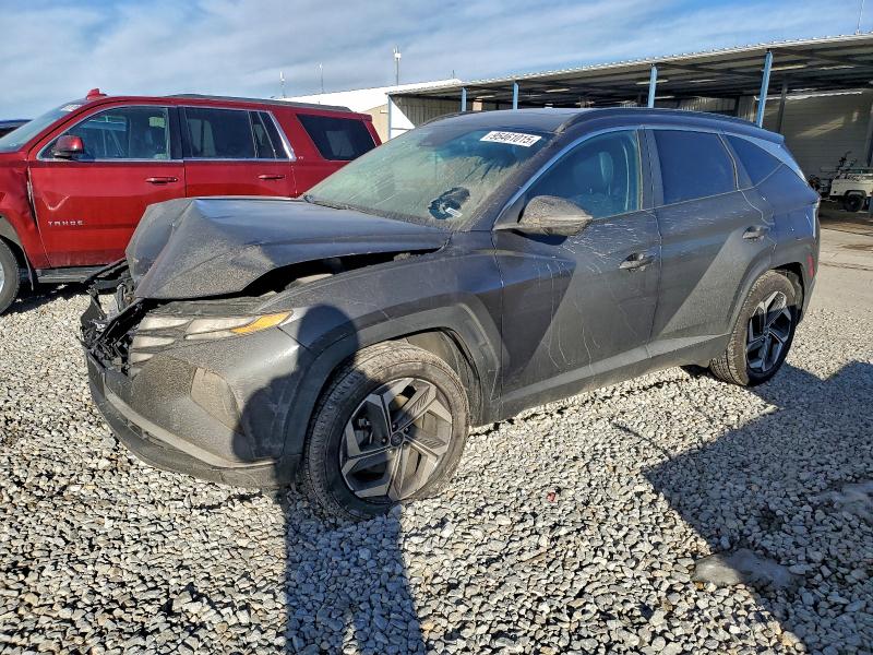 2024 HYUNDAI TUCSON — VIN 5NMJFCDEXRH309630