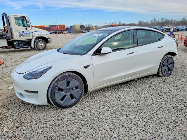 2023 TESLA MODEL 3 — VIN 5YJ3E1EA1PF568422