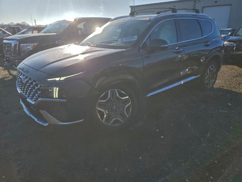 2021 HYUNDAI SANTA FE L — VIN 5NMS4DAL1MH365483