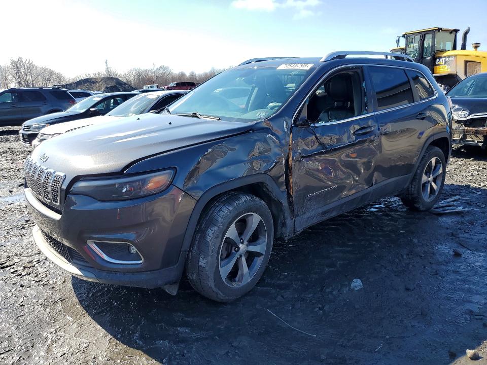 2019 JEEP CHEROKEE — VIN 1C4PJMDN0KD189009