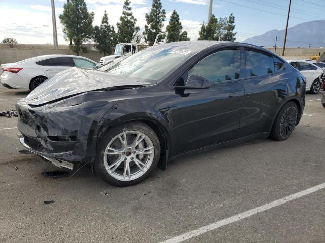 2023 TESLA MODEL Y — VIN 7SAYGDEE8PF801641
