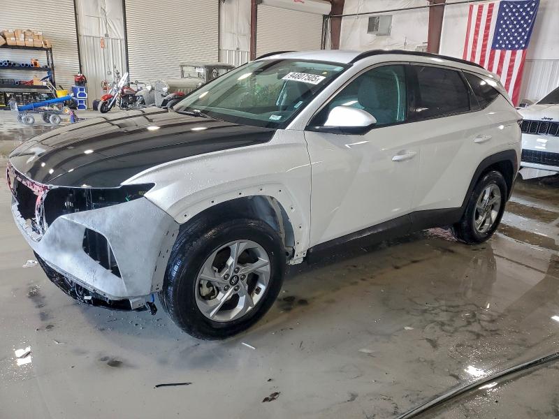 2024 HYUNDAI TUCSON SEL — VIN 5NMJBCDE8RH307225