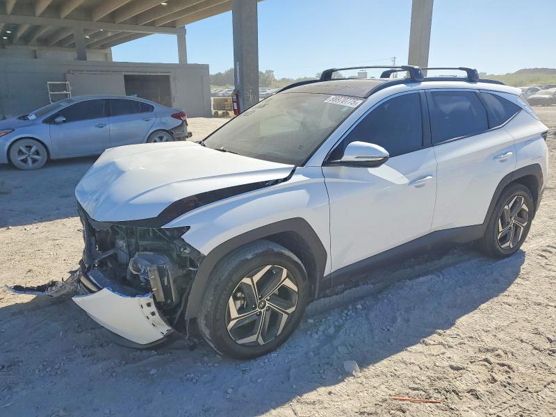 2024 HYUNDAI TUCSON SEL — VIN KM8JCCD16RU213696