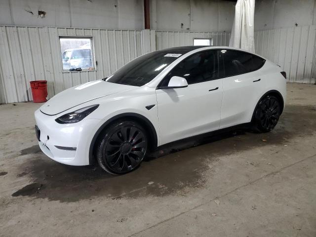 2023 TESLA MODEL Y — VIN 7SAYGDEF5PF776061
