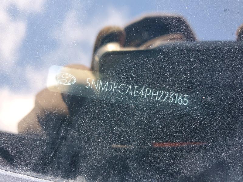 5NMJFCAE4PH223165