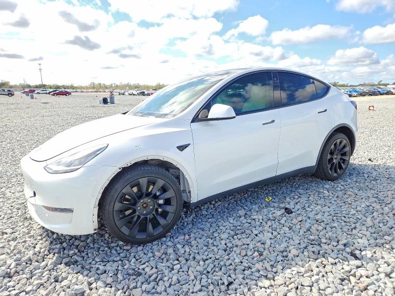 2021 TESLA MODEL Y — VIN 5YJYGDEE8MF100350