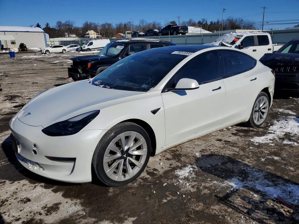 2021 TESLA MODEL 3 — VIN 5YJ3E1EA8MF051923