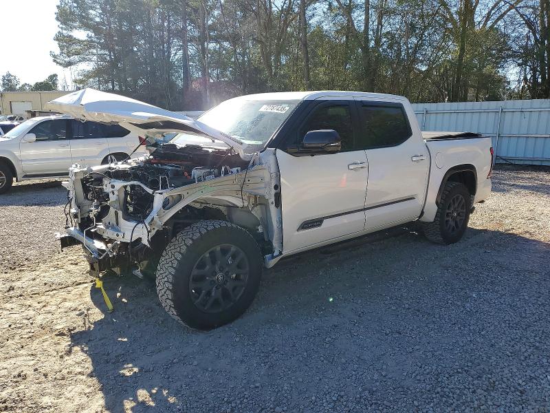 2025 TOYOTA TUNDRA — VIN 5TFNC5DB3SX108354