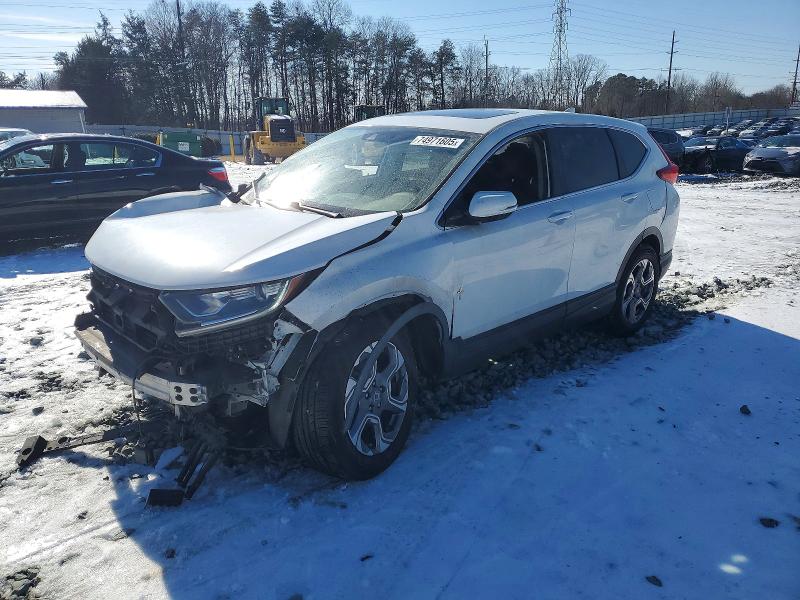 2019 HONDA CR-V — VIN 2HKRW2H51KH630620
