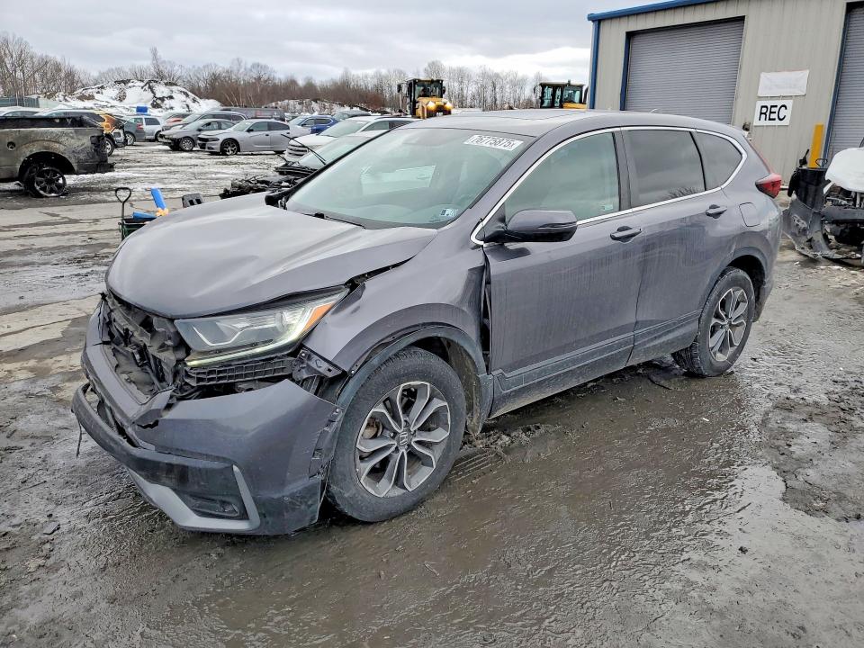 2020 HONDA CR-V — VIN 5J6RW2H81LL042279