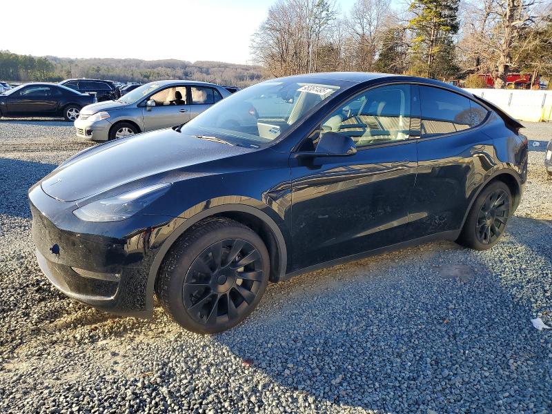 2024 TESLA MODEL Y — VIN 7SAYGDEE9RA225591