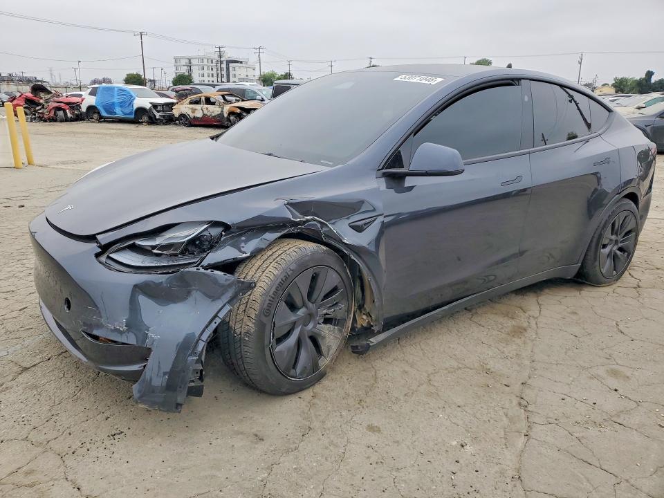2025 TESLA MODEL Y — VIN 7SAYGDEDXSF319382