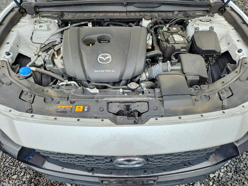 7MMVABCM6PN138104