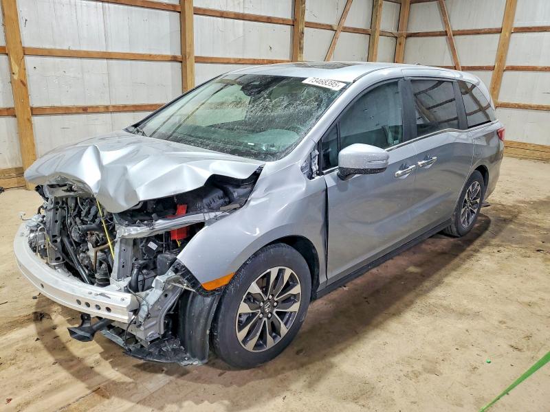2024 HONDA ODYSSEY — VIN 5FNRL6H61RB003952