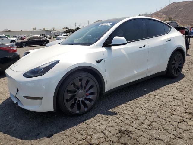 2024 TESLA MODEL Y — VIN 7SAYGDEF1RF082051