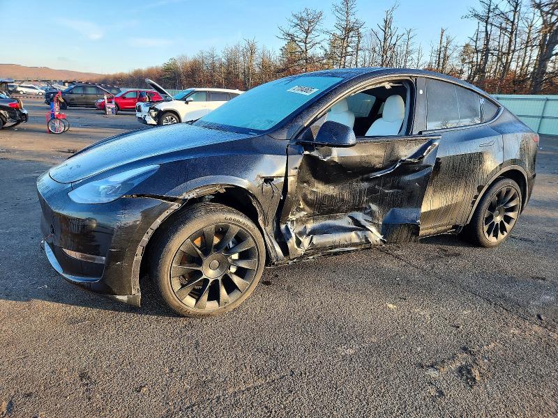 2023 TESLA MODEL Y — VIN 7SAYGDEEXPA183803