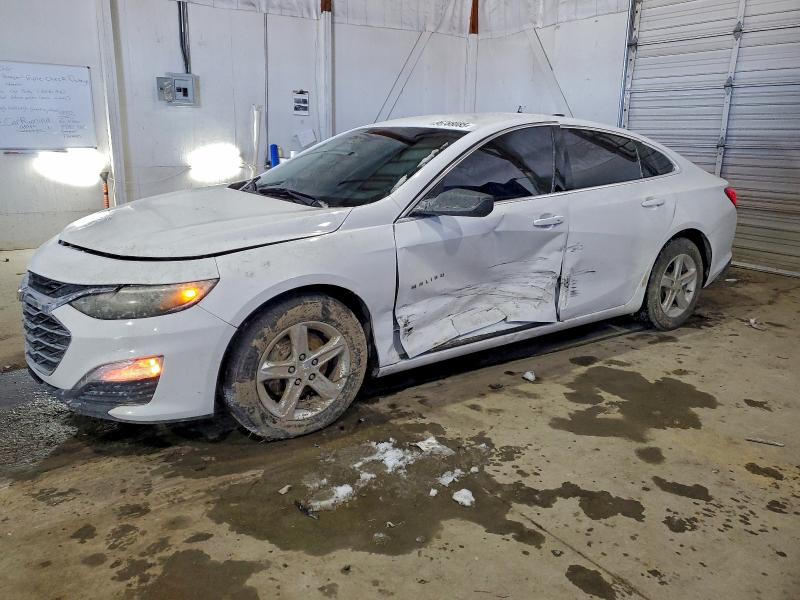 2019 CHEVROLET MALIBU — VIN 1G1ZB5ST3KF220019