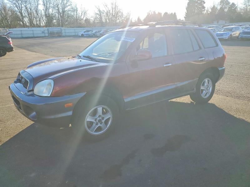 2003 HYUNDAI SANTA FE G — VIN KM8SC73DX3U443725