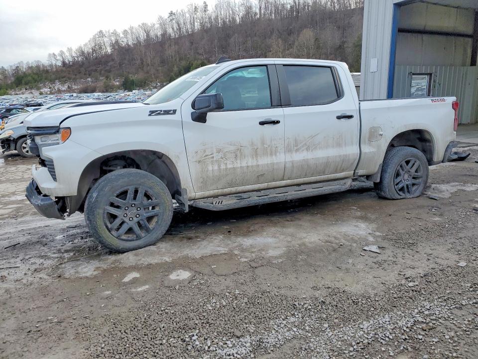 2024 CHEVROLET SILVERADO — VIN 3GCUDFED9RG347565