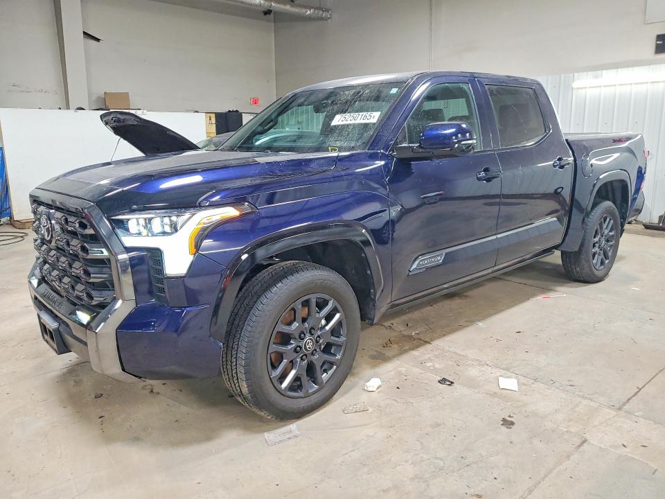 2025 TOYOTA TUNDRA — VIN 5TFNA5DB0SX317850