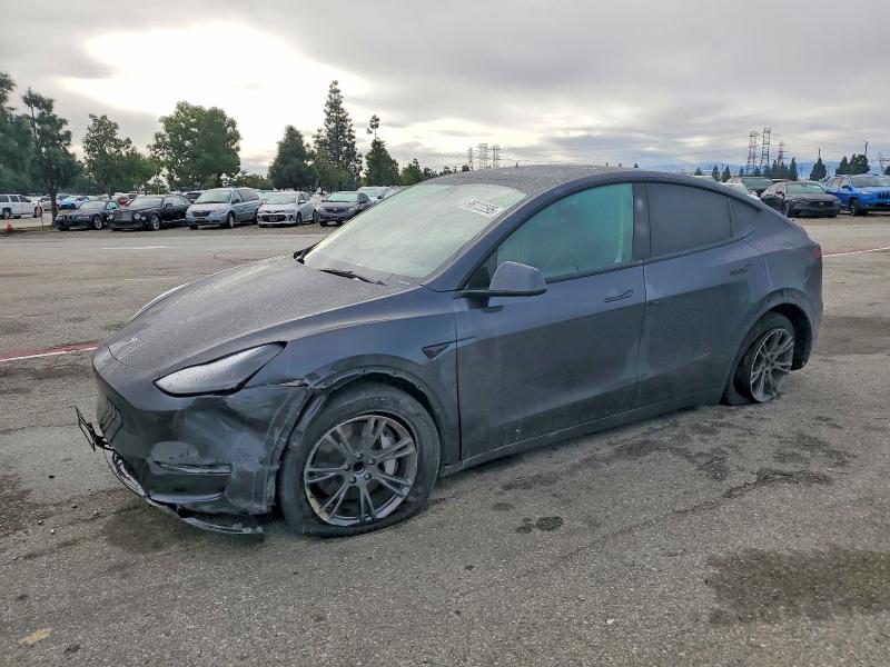 2025 TESLA MODEL Y — VIN 7SAYGDED5SF260810