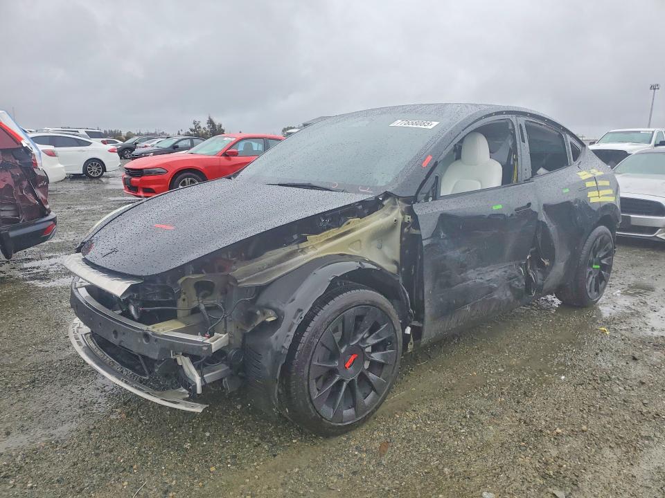 2023 TESLA MODEL Y — VIN 7SAYGAEEXPF766406