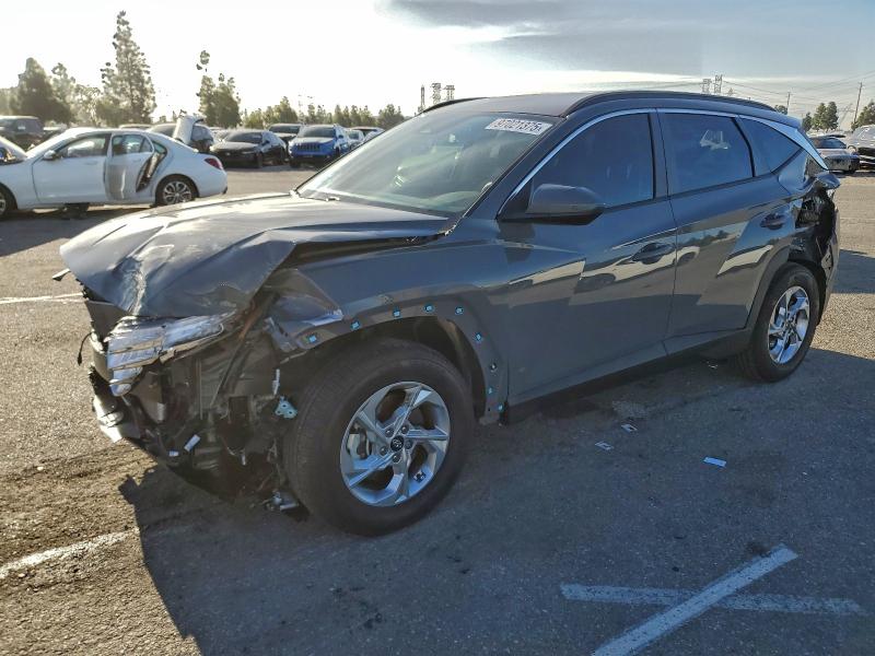 2024 HYUNDAI TUCSON — VIN 5NMJB3DE0RH392836