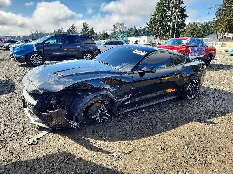 2019 FORD MUSTANG — VIN 1FA6P8TH4K5203572