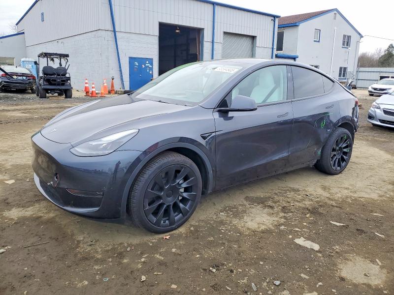 2024 TESLA MODEL Y — VIN 7SAYGDED5RF075845