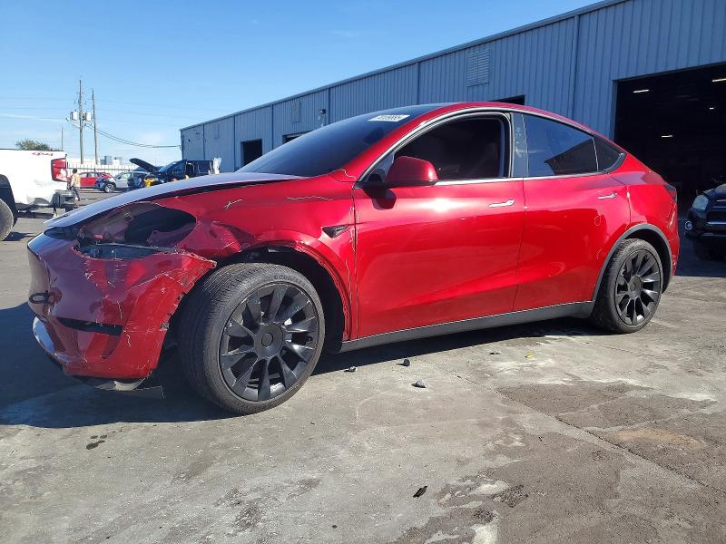 2024 TESLA MODEL Y — VIN 7SAYGDED6RF043020