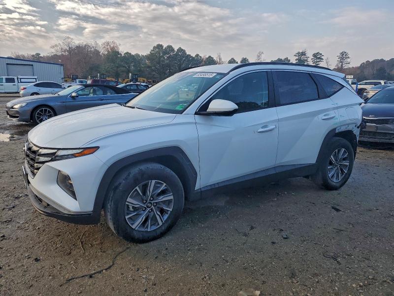 2024 HYUNDAI TUCSON BLU — VIN KM8JBCD15RU240035