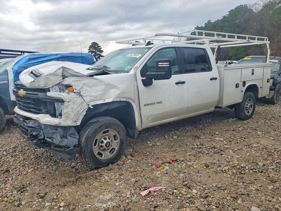 2025 CHEVROLET SILVERADO — VIN 1GB4ALE73SF137282