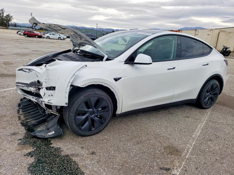 2025 TESLA MODEL Y — VIN 7SAYGDEE9SF294175