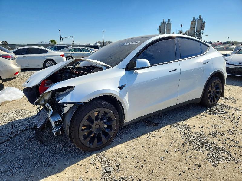 2023 TESLA MODEL Y — VIN 7SAYGDEEXPA045713