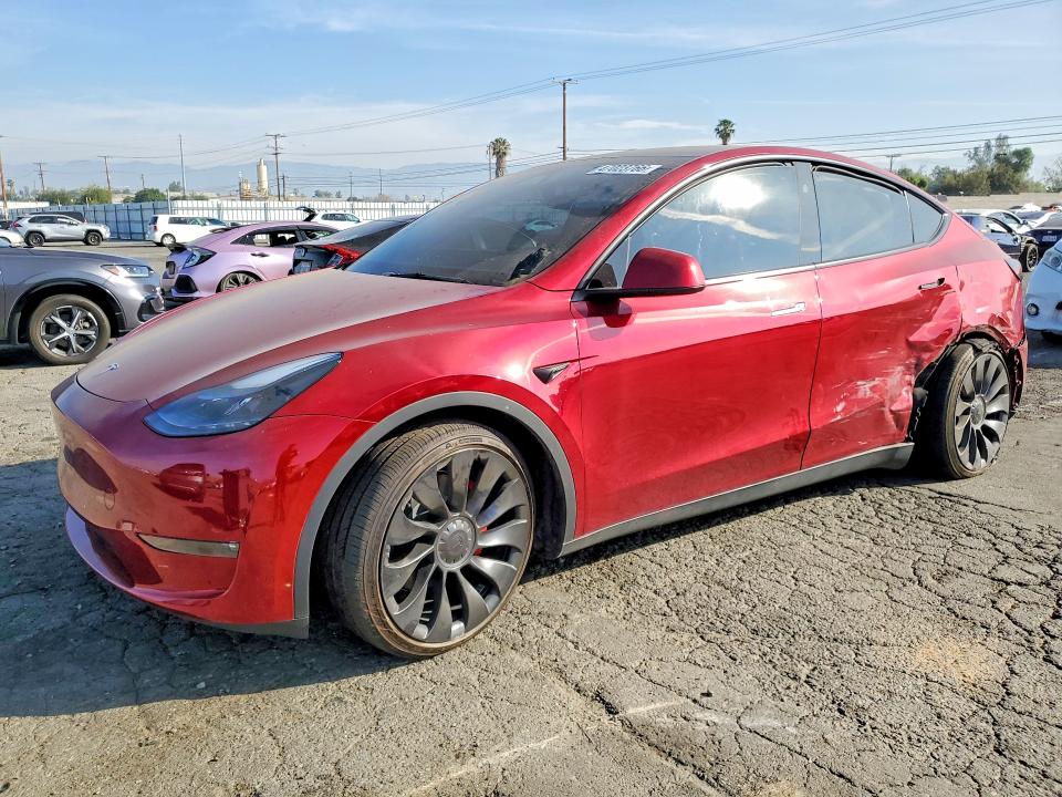 2025 TESLA MODEL Y — VIN 7SAYGDEF4SF304815