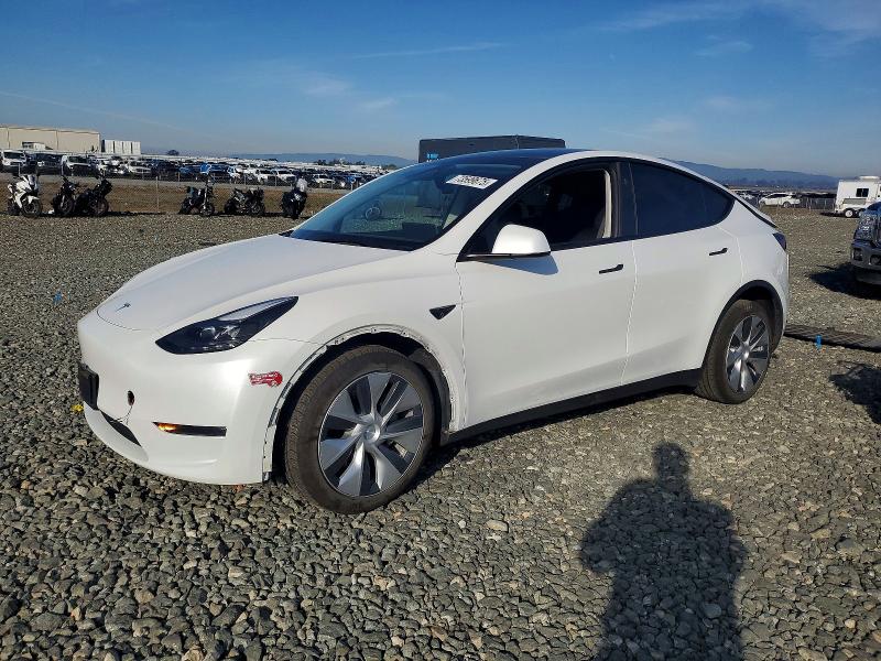 2024 TESLA MODEL Y — VIN 7SAYGDEE9RF983210