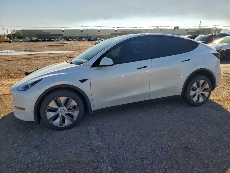 2023 TESLA MODEL Y — VIN 7SAYGDEE4PA097869