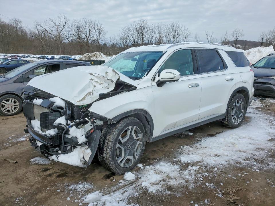 2025 HYUNDAI PALISADE — VIN KM8R4DGE5SU901487