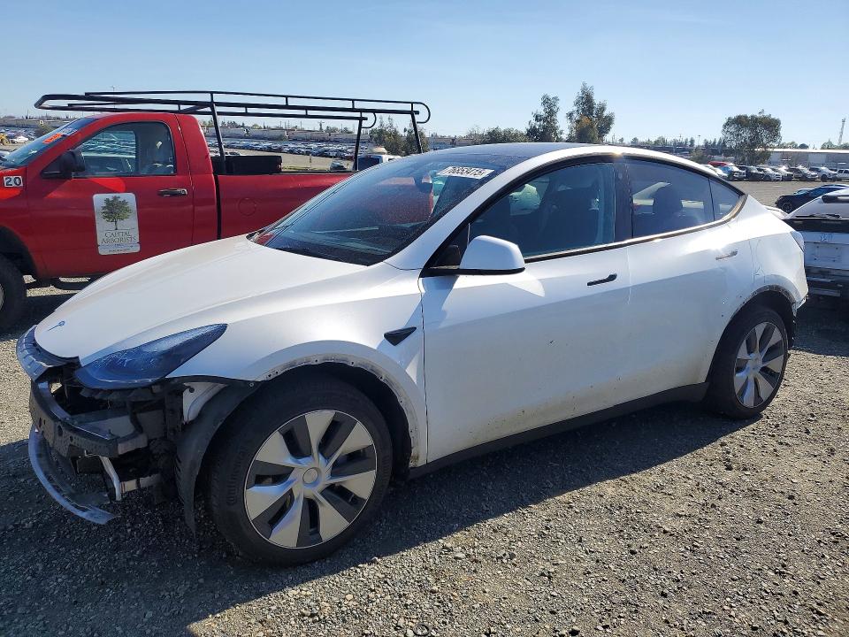 2023 TESLA MODEL Y — VIN 7SAYGDEE3PF740215