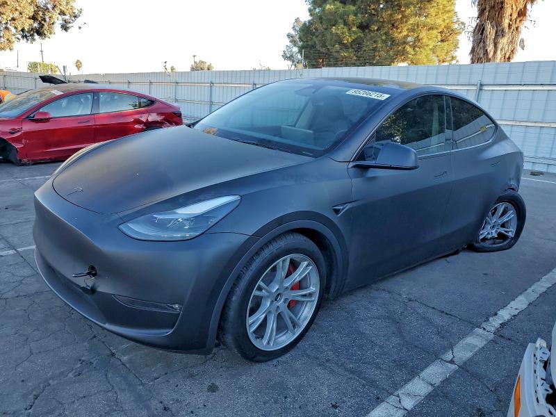 2024 TESLA MODEL Y — VIN 7SAYGDEE2RF089808