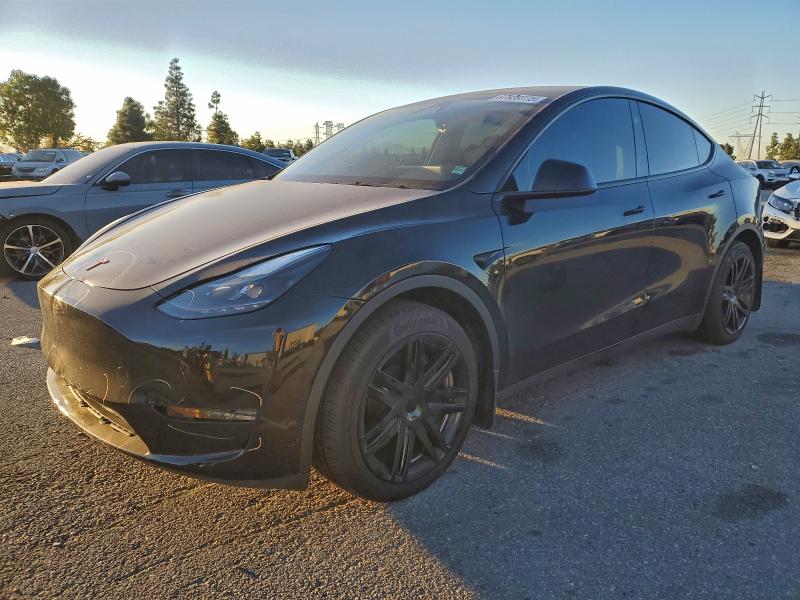 2024 TESLA MODEL Y — VIN 7SAYGAEE2RF077754