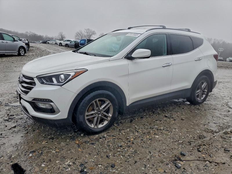 2017 HYUNDAI SANTA FE S — VIN 5NMZUDLB9HH005953