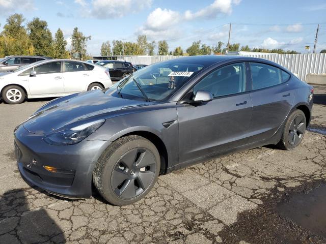 2023 TESLA MODEL 3 — VIN 5YJ3E1EA5PF667986