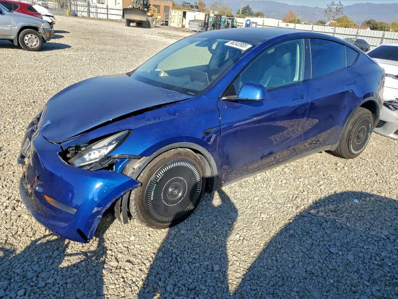 2021 TESLA MODEL Y — VIN 5YJYGDEE7MF095223