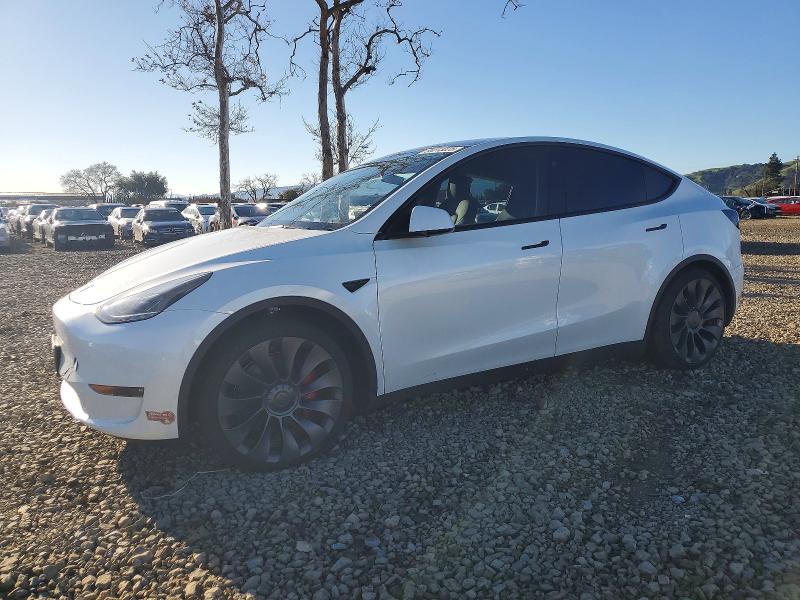 2024 TESLA MODEL Y — VIN 7SAYGDEFXRF181371